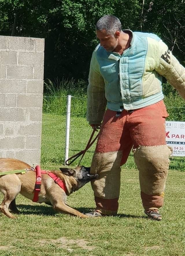 Optima Du Domaine Des Loups De Jad