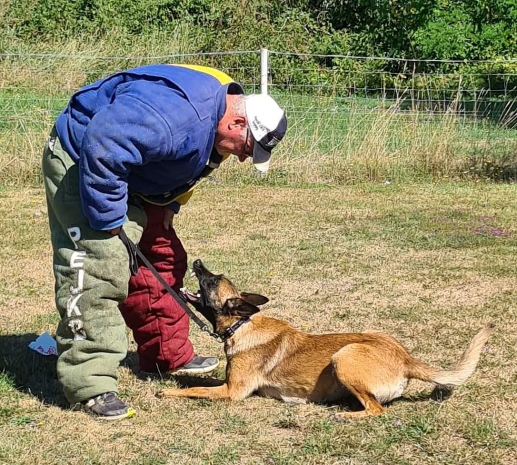 Optima Du Domaine Des Loups De Jad