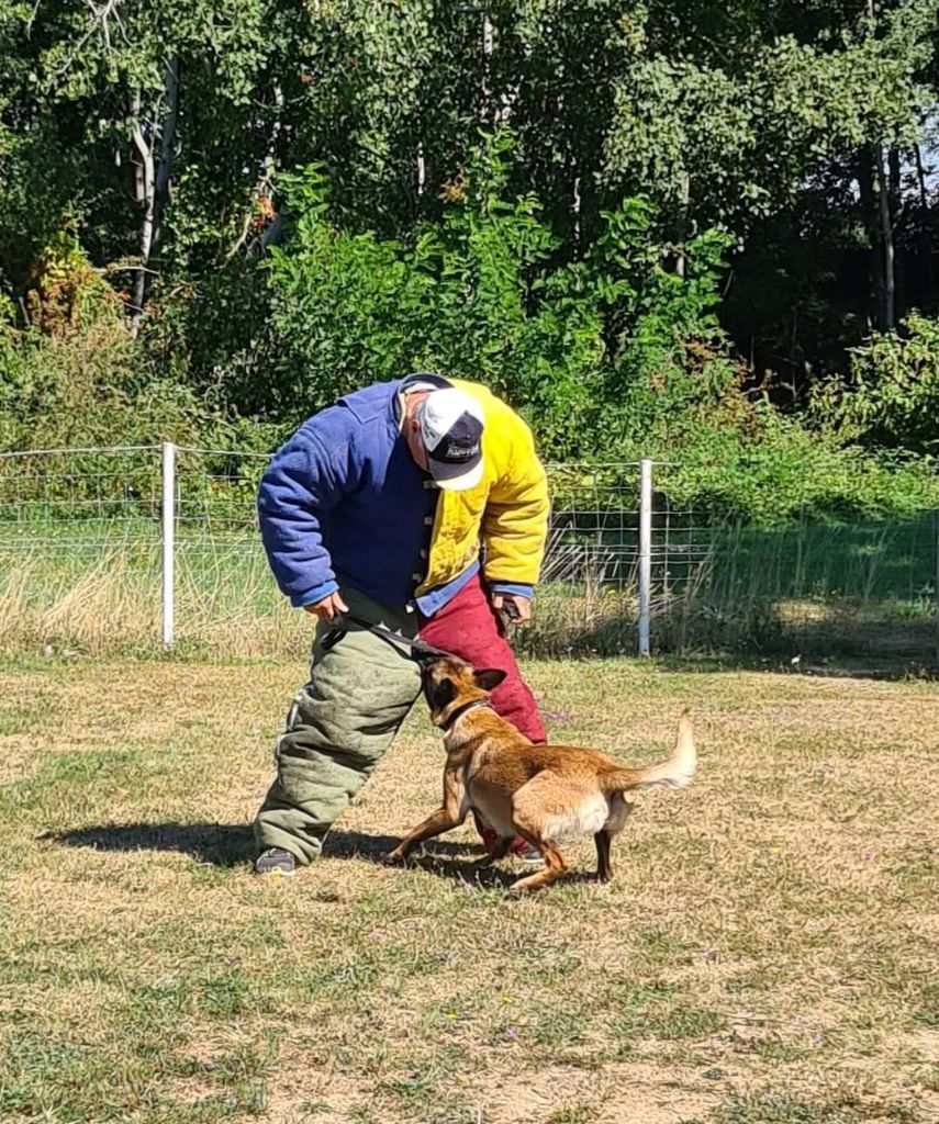 Optima Du Domaine Des Loups De Jad